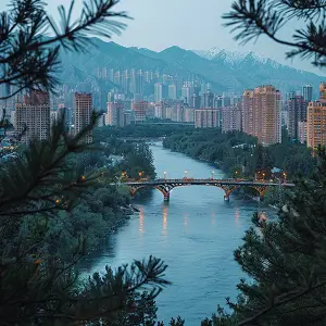 鼎甲科技怎么样
